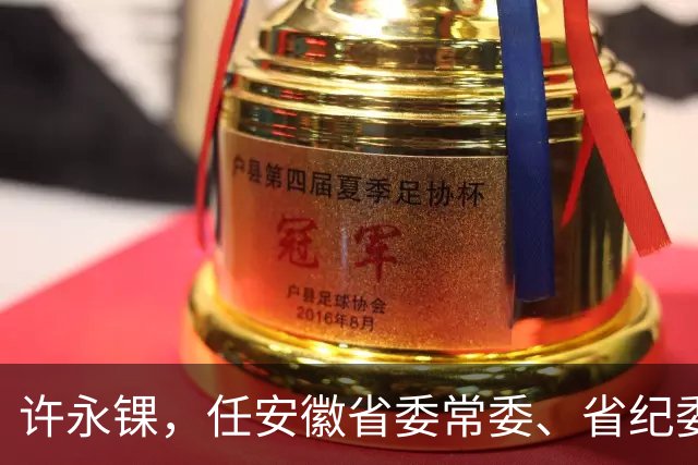 许永锞，任安徽省委常委、省纪委书记！卿泳，任宜宾市人大常委会党组书记！